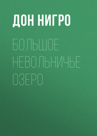 Обложка книги «Большое невольничье озеро»