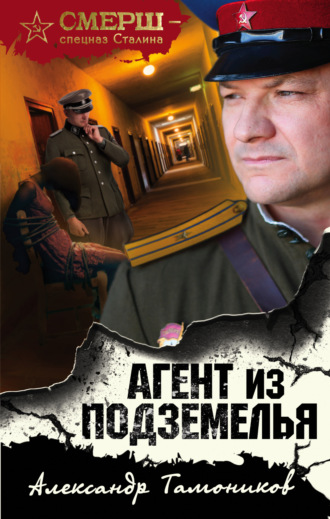Обложка книги «Агент из подземелья»