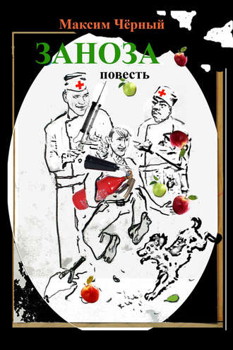 Обложка книги «Заноза»