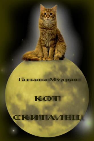 Обложка книги «Кот-Скиталец»