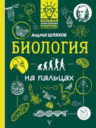 Обложка книги «Биология на пальцах в иллюстрациях»