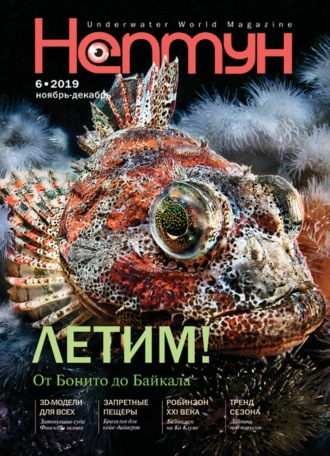 Обложка книги «Нептун №6/2019»