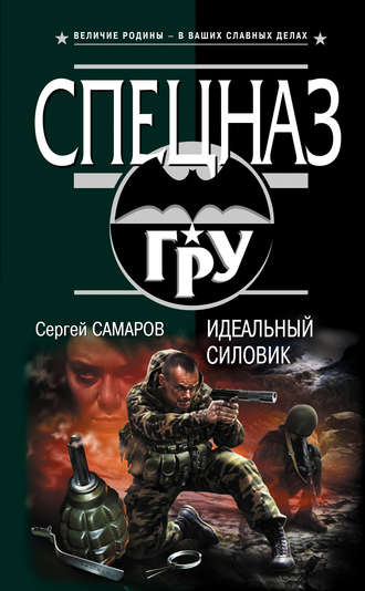 Обложка книги «Идеальный силовик»
