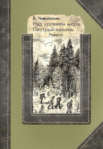 Обложка книги «Над уровнем моря. Пестрый камень»