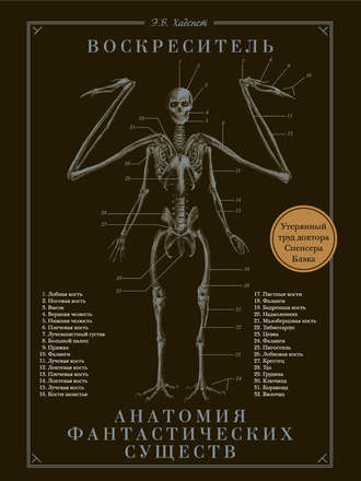 Обложка книги «Воскреситель, или Анатомия фантастических существ. Утерянный труд доктора Спенсера Блэка»