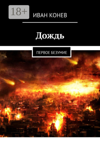 Обложка книги «Дождь. Первое безумие»