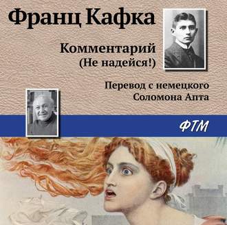 Обложка книги «Комментарий (не надейся!)»