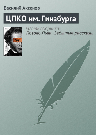 Обложка книги «ЦПКО им. Гинзбурга»