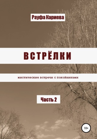 Обложка книги «Встрёлки 2»