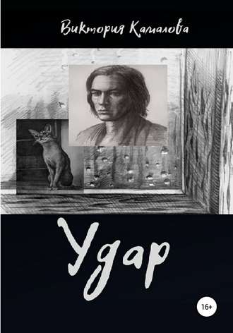 Обложка книги «Удар»
