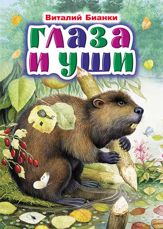 Обложка книги «Глаза и уши»