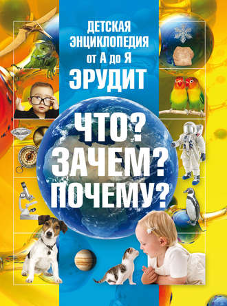 Обложка книги «Детская энциклопедия от А до Я. Эрудит. Что? Зачем? Почему?»
