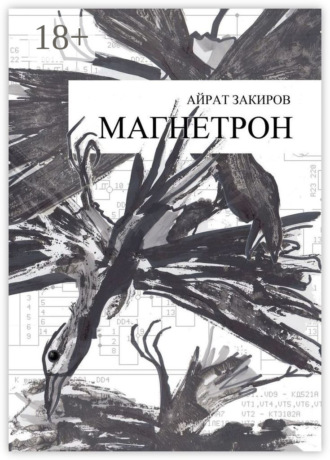 Обложка книги «Магнетрон»