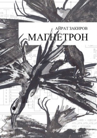 Айрат Закиров. Магнетрон