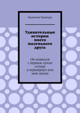 Обложка книги «Удивительные истории моего маленького друга. Он появился с первым лучом солнца и перевернул всю мою жизнь»