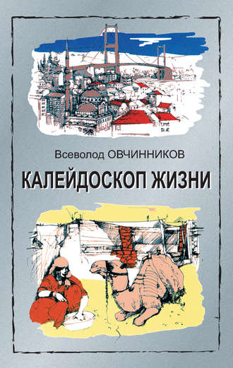 Всеволод Овчинников. Калейдоскоп жизни: экзотические, драматические и комические эпизоды личной судьбы ветерана журналистики