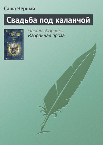 Обложка книги «Свадьба под каланчой»