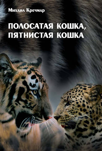 Обложка книги «Полосатая кошка, пятнистая кошка»