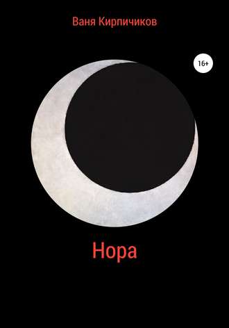 Обложка книги «Нора»