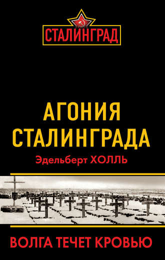 Обложка книги «Агония Сталинграда. Волга течет кровью»