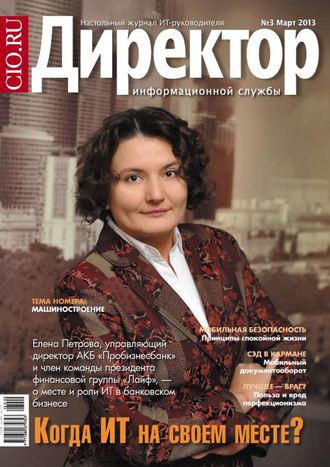 Обложка книги «Директор информационной службы №03/2013»