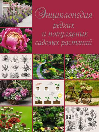 Обложка книги «Энциклопедия редких и популярных садовых растений»