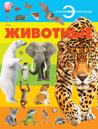 Обложка книги «Животные»