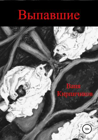 Обложка книги «Выпавшие»