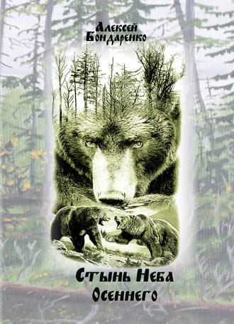 Обложка книги «Стынь неба осеннего»