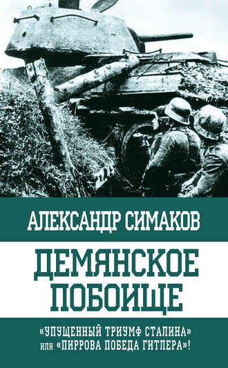 Александр Симаков. Демянское побоище. «Упущенный триумф Сталина» или «пиррова победа Гитлера»?