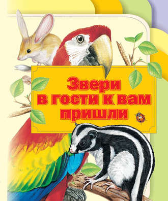Обложка книги «Звери в гости к вам пришли»