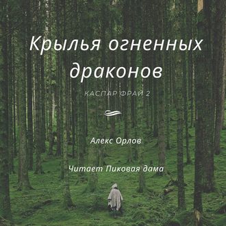 Обложка книги «Крылья огненных драконов»