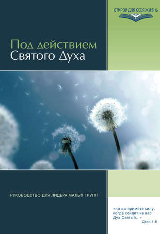 Обложка книги «Под действием Святого Духа. Руководство для лидера малых групп»