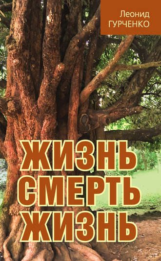 Обложка книги «Жизнь – смерть – жизнь»