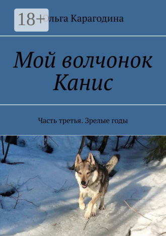 Ольга Карагодина. Мой волчонок Канис. Часть третья. Зрелые годы