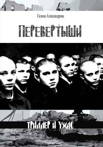 Обложка книги «Перевёртыши»