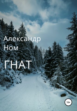 Александр Ном. Гнат