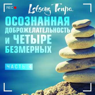 Обложка книги «Осознанная доброжелательность и четыре безмерных. Часть 4»