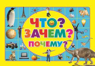 Обложка книги «Что? Зачем? Почему?»