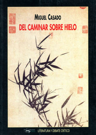 Miguel Casado. Del caminar sobre hielo