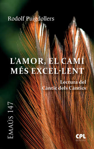 Rodolf Puigdollers. L'Amor, el cam? m?s excel.lent