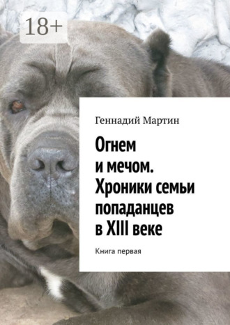 Обложка книги «Огнем и мечом. Хроники семьи попаданцев в XIII веке. Книга первая»
