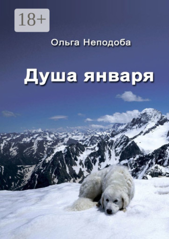 Обложка книги «Душа января»