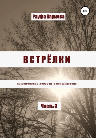Обложка книги «Встрёлки 3»