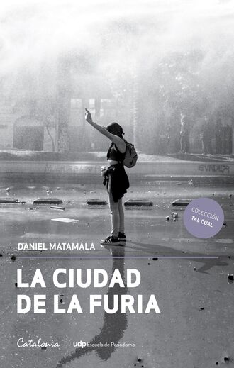 Daniel Matamala. La ciudad de la furia