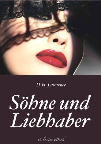 D. H.  Lawrence. S?hne und Liebhaber