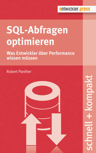 Robert  Panther. SQL-Abfragen optimieren