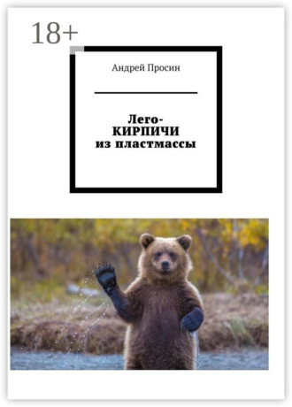 Обложка книги «Лего-кирпичи из пластмассы»
