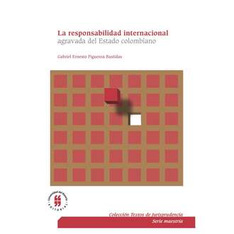 Gabriel Ernesto Figueroa Bastidas. La responsabilidad internacional agravada del Estado colombiano