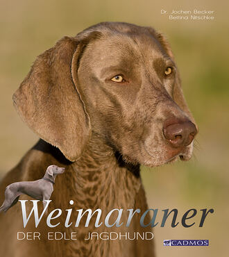 Jochen  Becker. Weimaraner